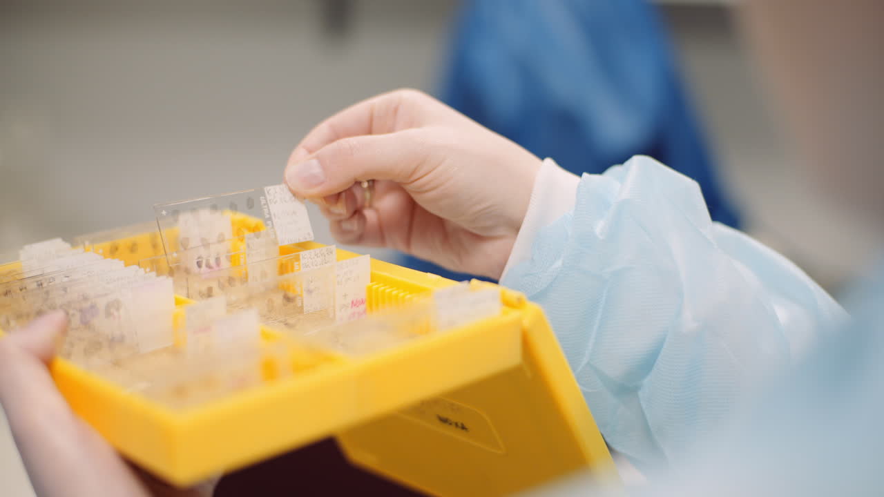 Scientist Is Looking At Plates With Bacteria At Laboratory 3