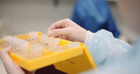 científico está mirando placas con bacterias en el laboratorio 3