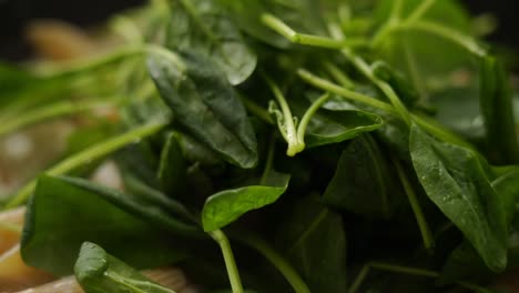 Crop-cook-preparing-pasta-in-frying-pan