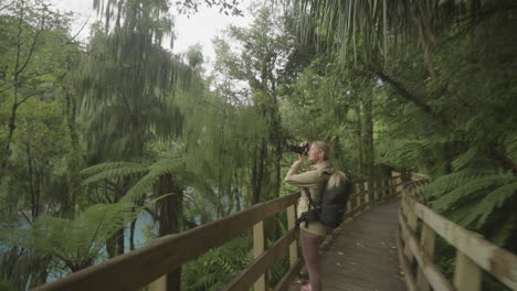 fotógrafa aficionada tomando fotos en un paseo marítimo de madera en la naturaleza, nueva zelanda