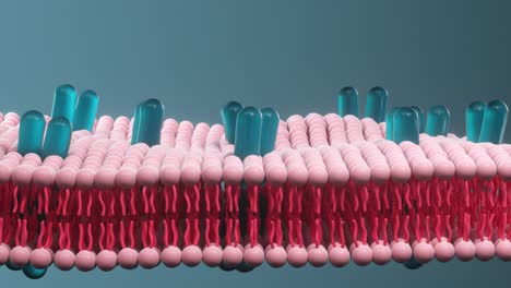 citomembrana y biología, vida y salud, renderización en 3d.
