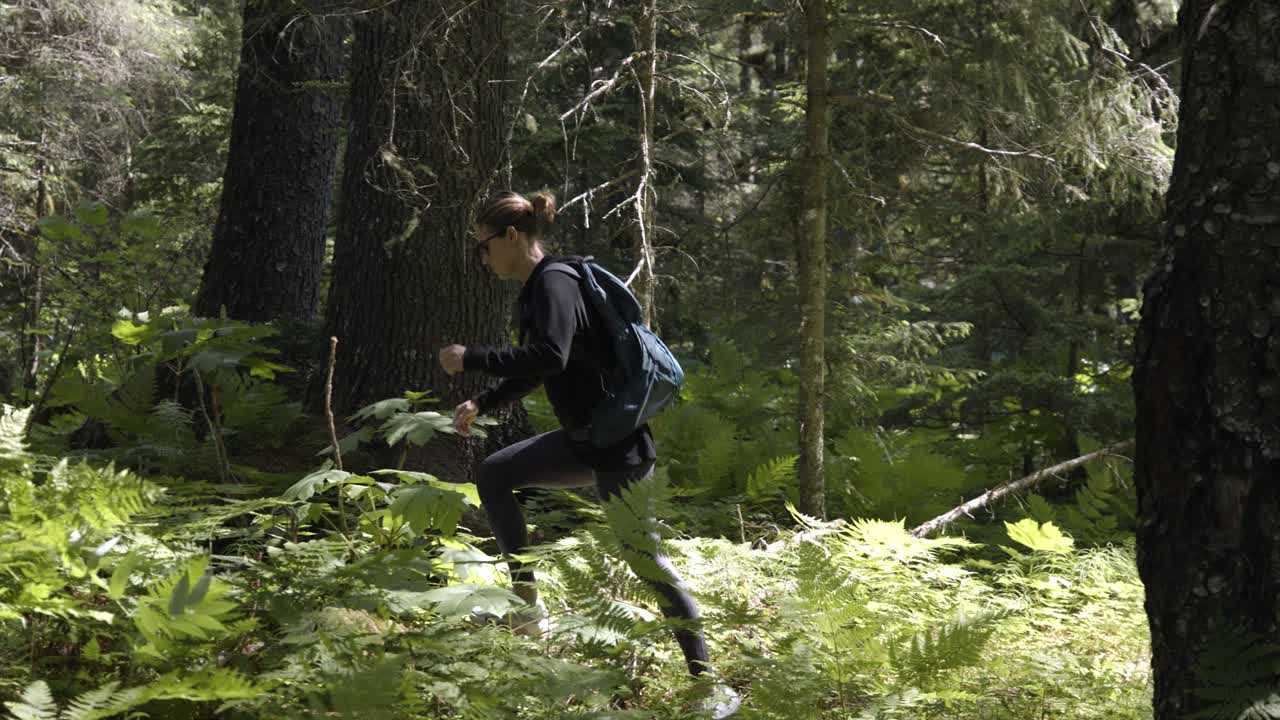 화창한 여름날 녹색 알래스카 숲에서 하이킹을 하는 젊은 여성, 슬로우 모션