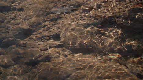 Agua-De-Arroyo-Flotando-Tranquilamente-En-Suiza