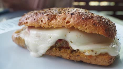 delicious melted cheese sandwich