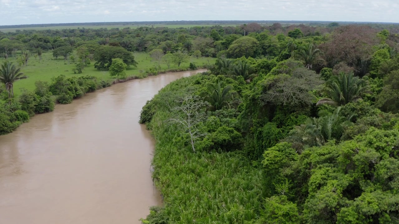 Drone shot soars above Manacacías River in the Orinoquía region, showcasing its winding muddy waters, dense green rainforest, and expansive Llanos landscape under bright daylight.