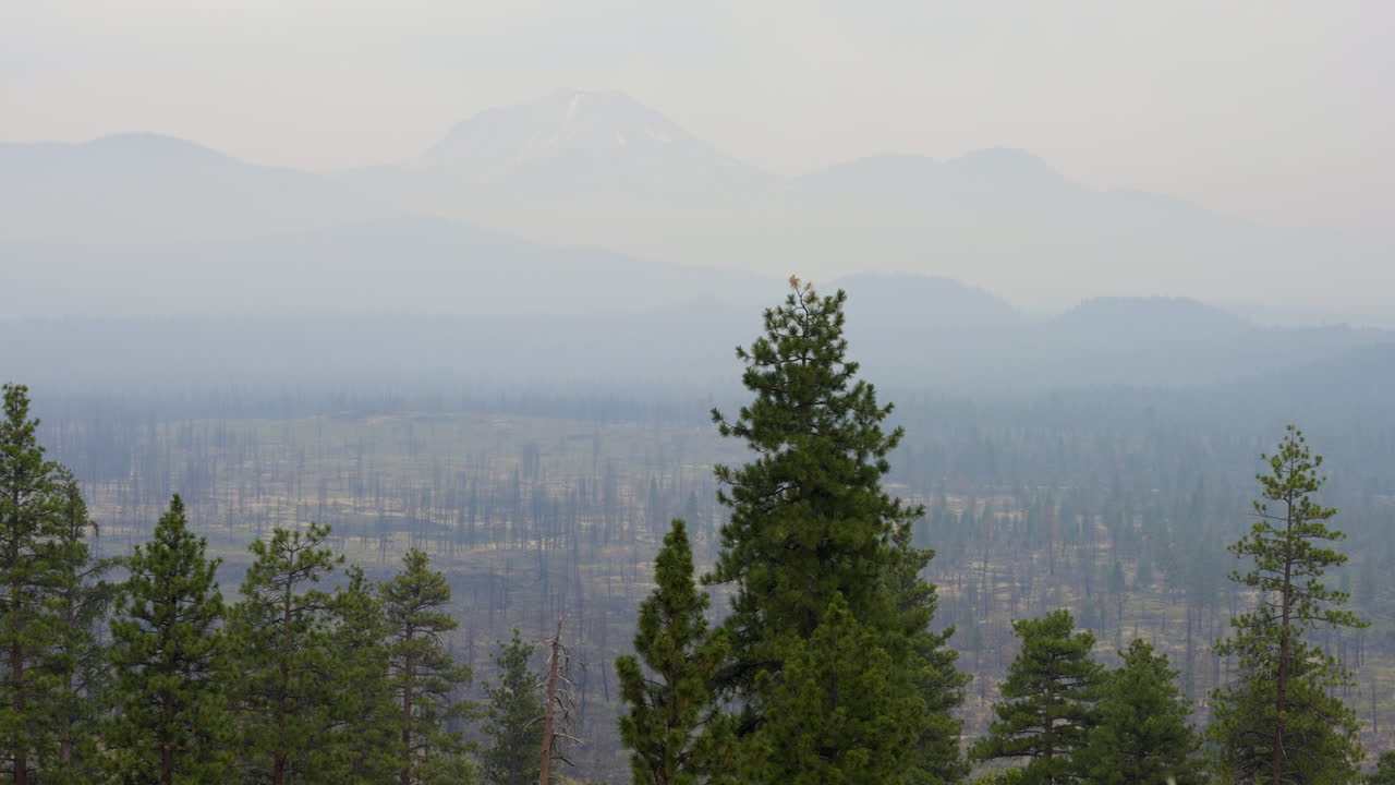 Hazy Mountain Landscape with Burned Forest and Pine Trees