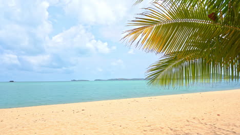 Von-Rechts-Ragen-Palmwedel-über-Einen-Goldenen-Sandstrand-Und-Meerblick-In-Den-Rahmen