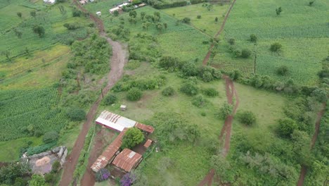 Mittelalterliche-Stadt,-Umgeben-Von-Grünem-Ackerland-In-Loitokitok,-Amboseli-In-Südkenia,---Luftdrohnenaufnahme