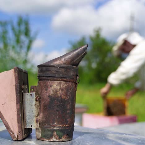 chimney with smoke on hive. bee smoker on the blur background of a beekeeper working on apiary. apiculture concept.