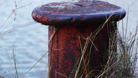 Derelict-mooring-pole-in-Chernobyl-exclusion-zone,-zoom-out-view