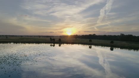 Aerial-Forward-Dolly-Over-Pond-in-Tropical-Wetlands-During-Sunrise