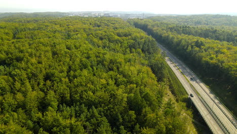 Antena-De-Arriba-Hacia-Abajo-De-Los-árboles-Del-Bosque-Verde-Al-Lado-De-La-Carretera-Transitada-Con-Los-Coches-Durante-El-Día-Soleado-En-La-Naturaleza