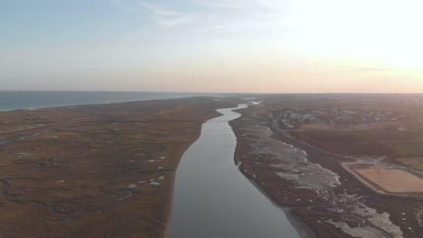aerial view of a beautiful natural reserve with ocean in the horizon