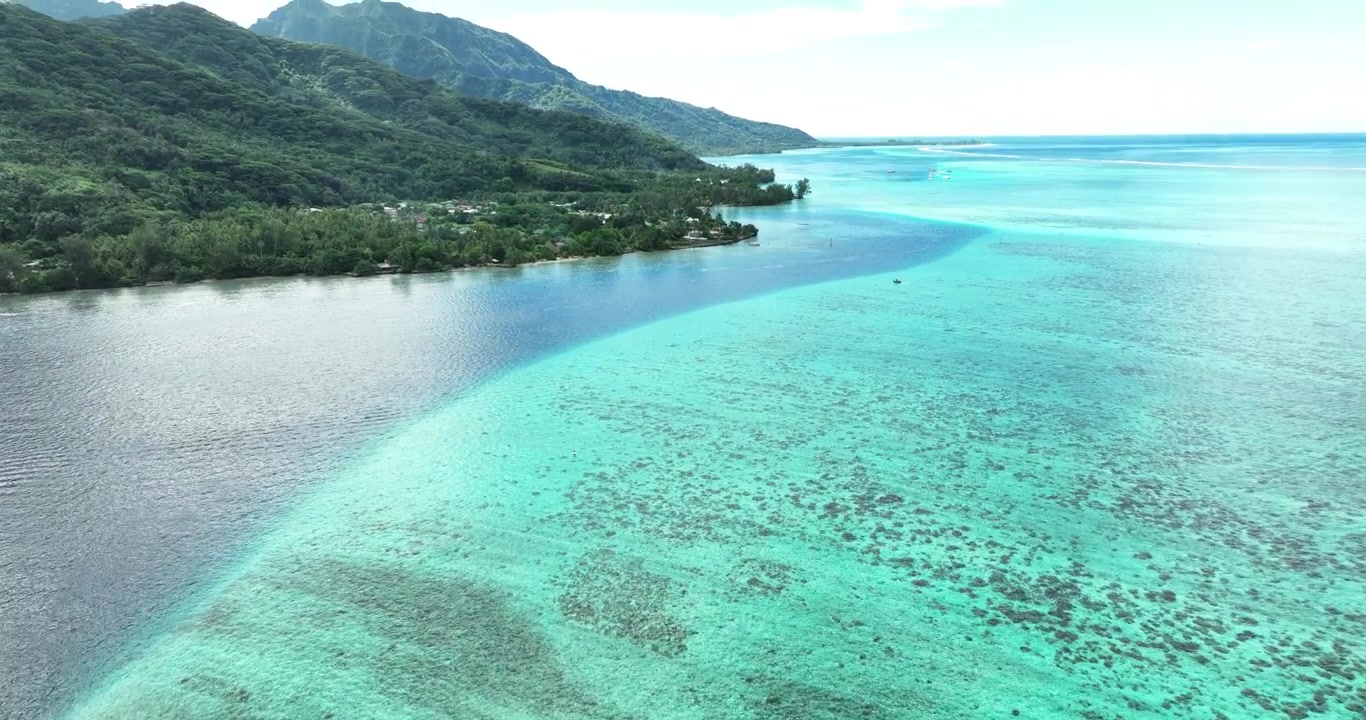 Clear turquoise reef lagoon spreads beside green mountain coastline in French Polynesia, small coastal village and dark coral patches stretch across calm tropical water. Aerial drone wide shot