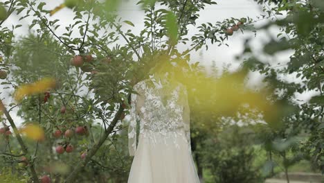 Das-Kleid-Der-Braut-Hängt-An-Einem-Apfelbaum.-Sehr-Schön-Und-Elegant.-Hochzeit