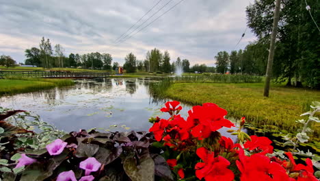scenic view of a pond surrounded by vibrant flowers and greenery, under a cloudy sky in latvia