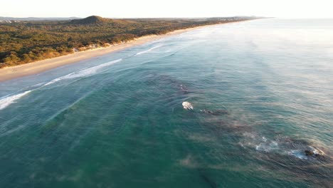 Tranquil-Sea-Mist-on-Coolum-Beach,-Queensland,-Australia-Aerial-Shot