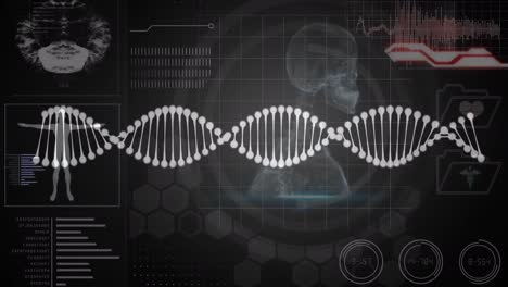 Animation-Des-DNA-Strangs-über-Datenverarbeitung-Und-Digitalen-Menschen