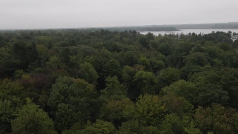 Dusky-and-lush-greens-on-a-cloudy-day