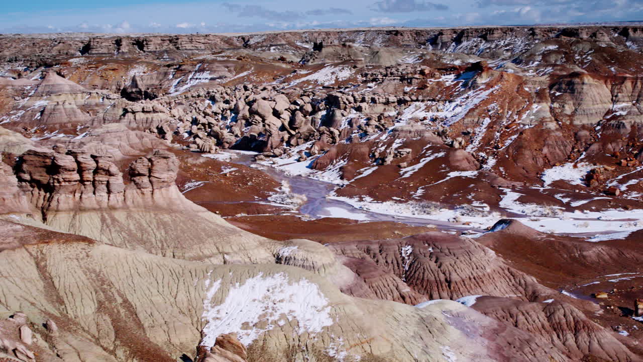 암석화된 나무로 사막을 가로질러