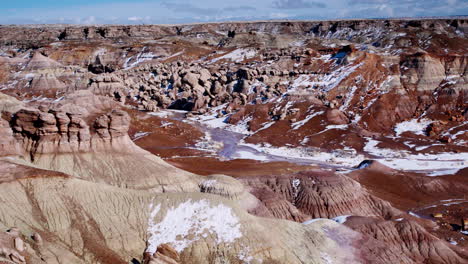 pan a través del desierto con madera petrificada