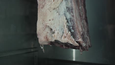 rich dry aged meat hanging in a cool serene room