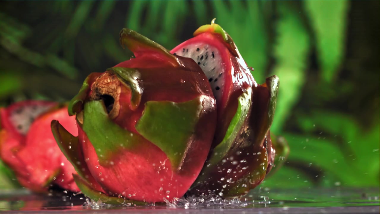 Chute au ralenti de moitiés de fruit du dragon frais et éclaboussures d'eau