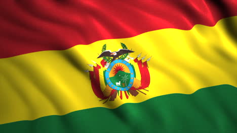 agitando la bandera de bolivia