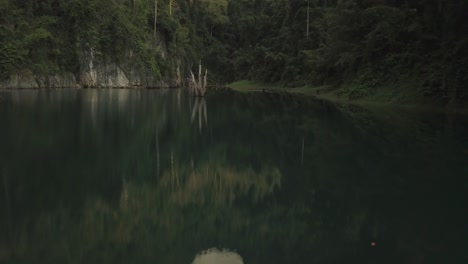 tropical lagoon and isolated tree in sea water and rainforest on coast, cinematic dolly pull up aerial