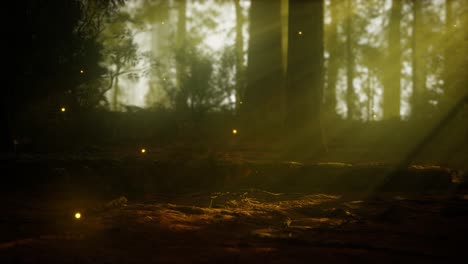 firefly-in-misty-forest-with-fog