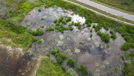 Wolken,-Die-Sich-An-Einem-Sommertag-Auf-Einem-Warmen-Teich-Spiegeln