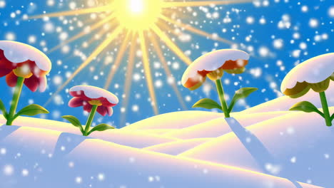 winter flowers on snowy hills
