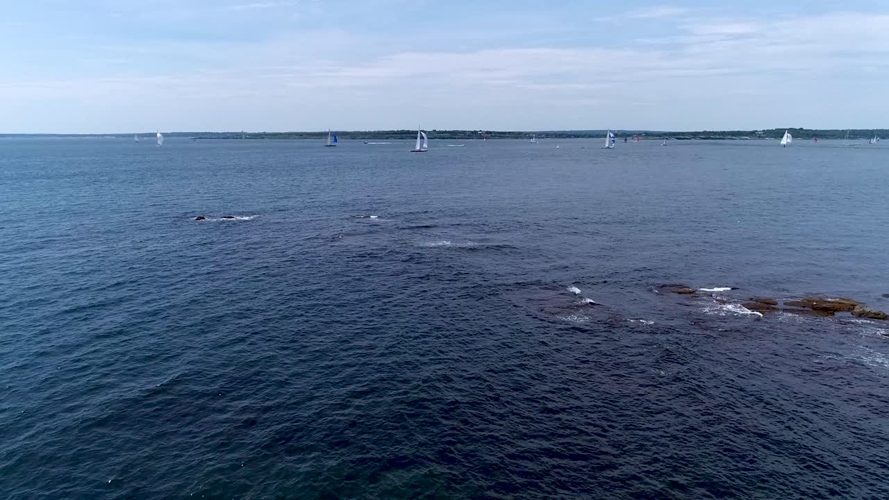 후지산에 들어오고 나가는 요트