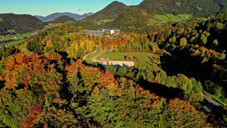 aerial shot capturing the green thick vegetation of austria autumn forest and brown red canopy