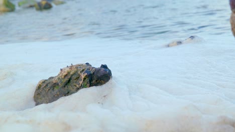 Agua-Sucia-Descargada-En-El-Río,-Contaminación,-Formas-Blancas