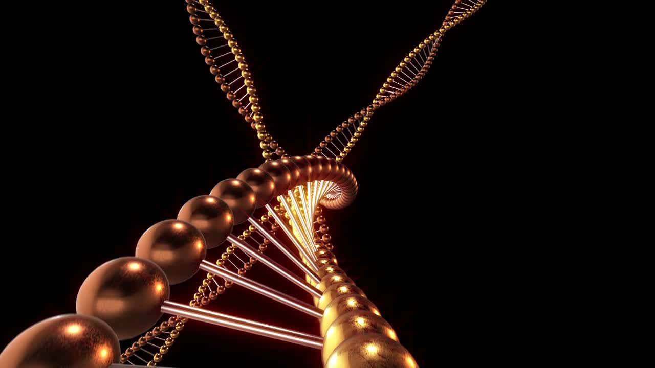 Filamenti di molecole di DNA su sfondo nero, rendering 3D in loop 4k con maschera canale Alpha, ciclo continuo