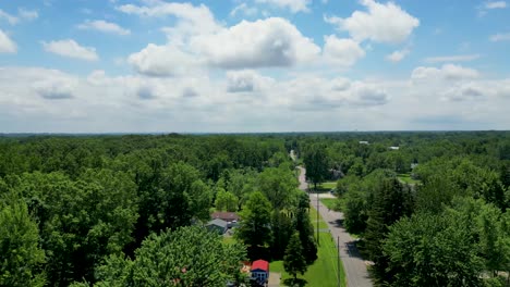 a stunning aerial view of dense green forests and quiet suburban roads stretching into the distance beneath a cloudy sky