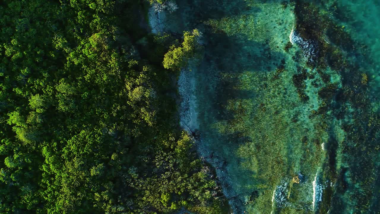 Drone trucking pan bird's eye view of clear ocean water crashing on tropical lush forest shore, curacao caribbean
