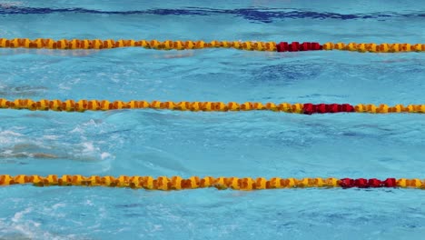 un atleta compite en una carrera de natación en una piscina