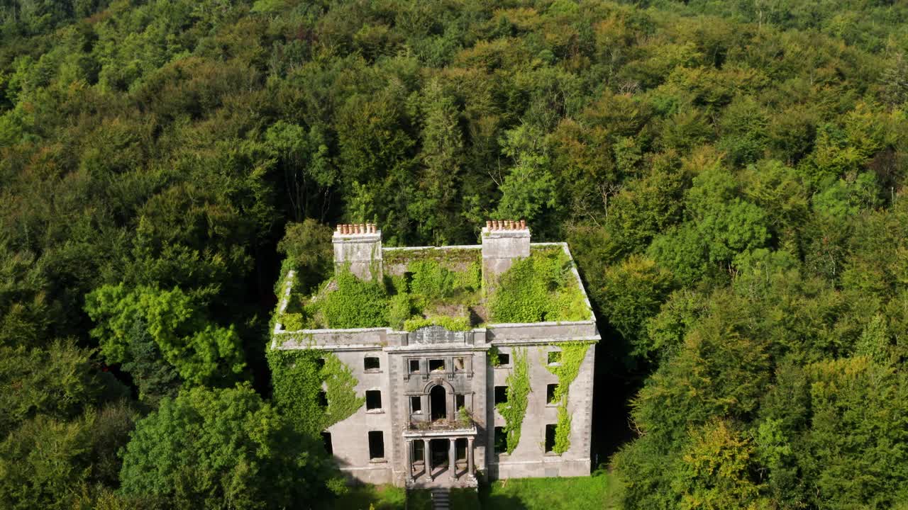 Aerial Flyover of the Ivy-Covered Moore Hall Historic Ruins Surrounded by Irish Forest
