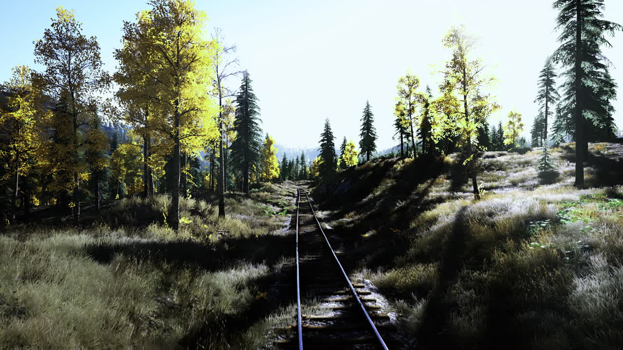 Scenic autumn landscape along abandoned railway track in forested area