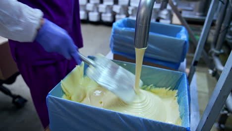 Producing butter food industry. Industrial making cheese in big factory.