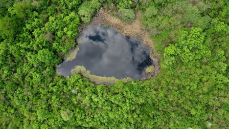 vista superior pequeño lago en medio de un bosque en hungría
