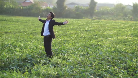 asian business man with arms raised in melon field