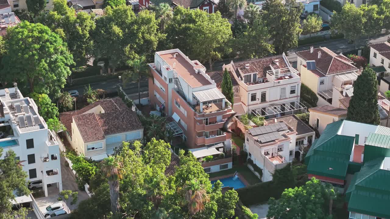 Peaceful aerial shot of a green neighborhood with birds flying over lush trees and homes