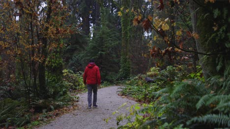 Person-Mit-Roter-Jacke,-Die-An-Einem-Regnerischen-Tag-Im-Stanley-Park-Spaziert