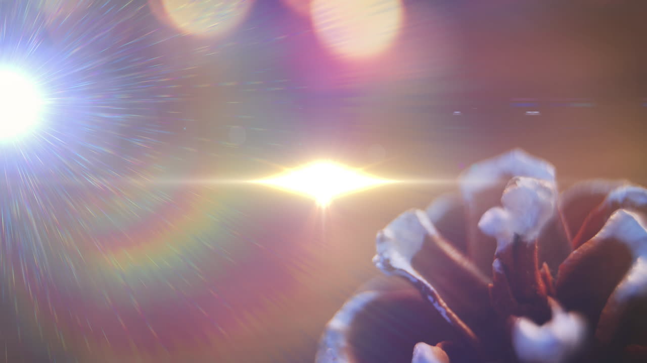 animación de luces brillantes que se mueven sobre el cono del árbol de abeto decoraciones de navidad