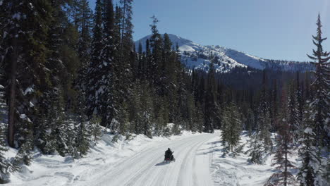 snowmobile drives slowly through beautiful winter forest with mountains