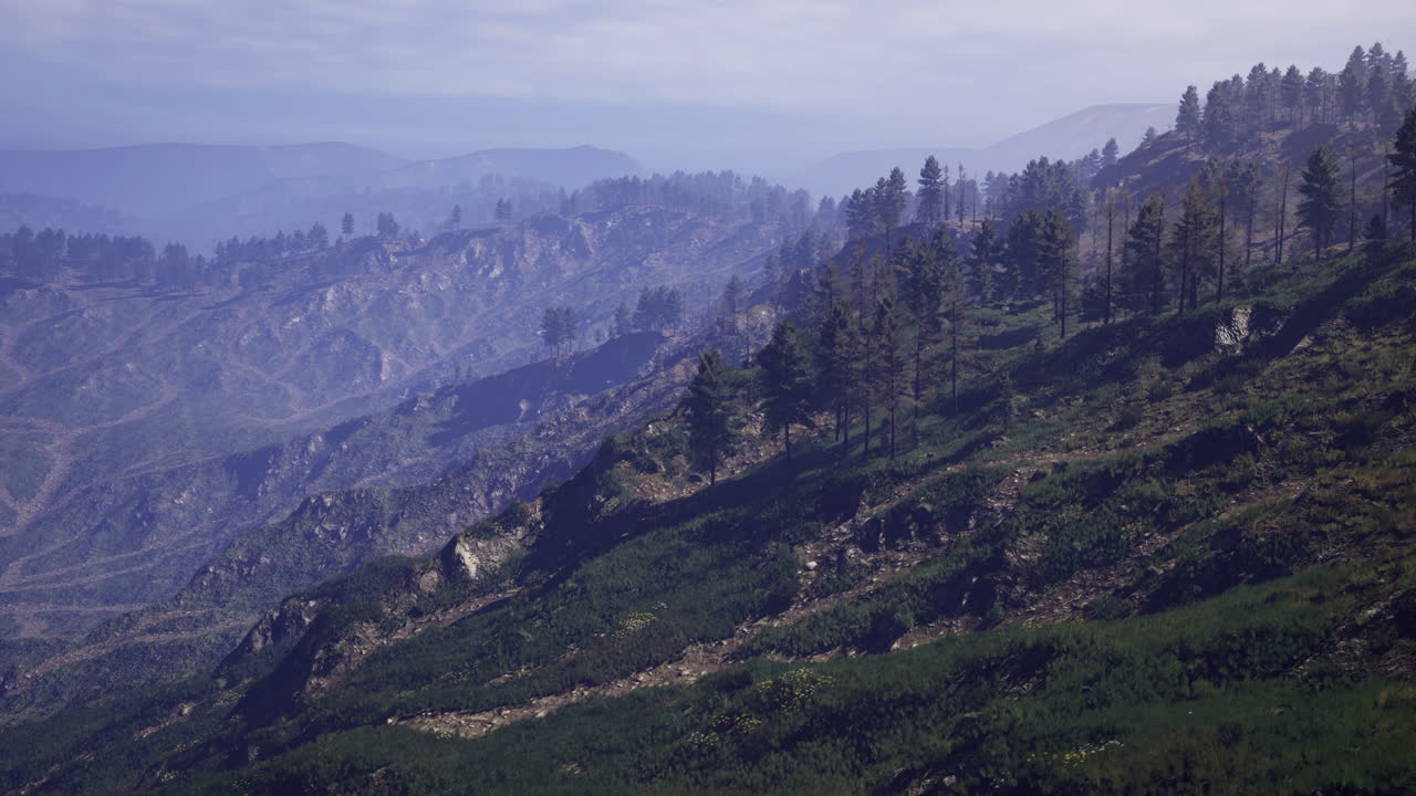 Breathtaking landscape of rolling hills and pine forests at sunrise