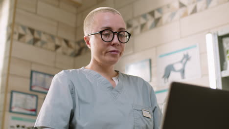 veterinario femenino llamando por video en la computadora portátil